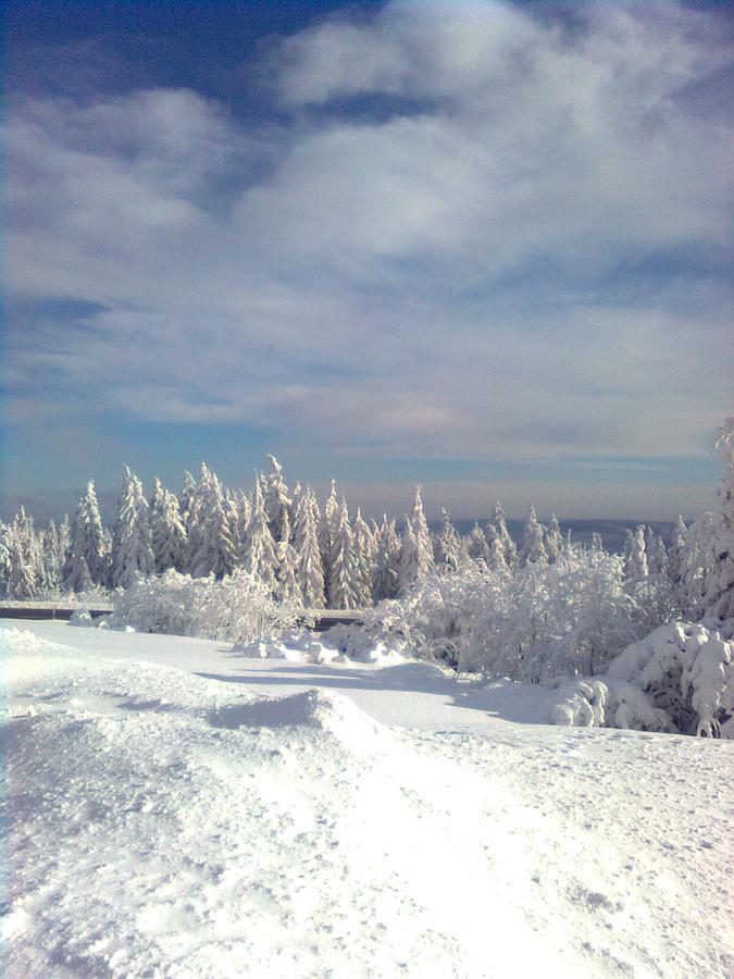 Gaestezimmer Im Haus Am Wald ฟรอยเดนชตัดท์ ภายนอก รูปภาพ